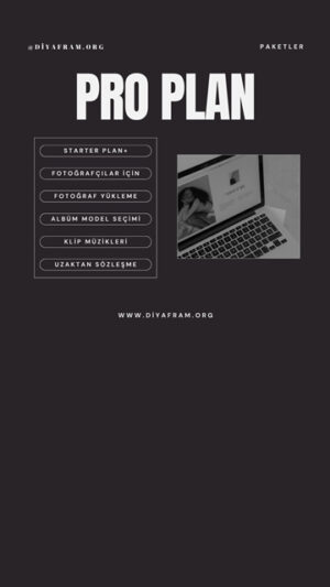 Pro Plan